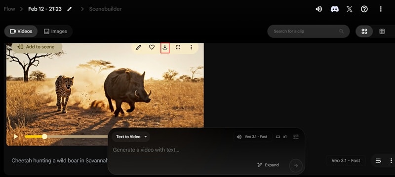 see the result and download it