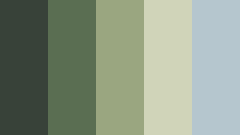 foggy canopy dawn forest moss color palette with hex codes