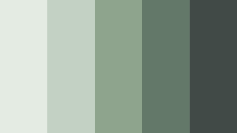 foggy hillside calm meadow sage color palette with hex codes