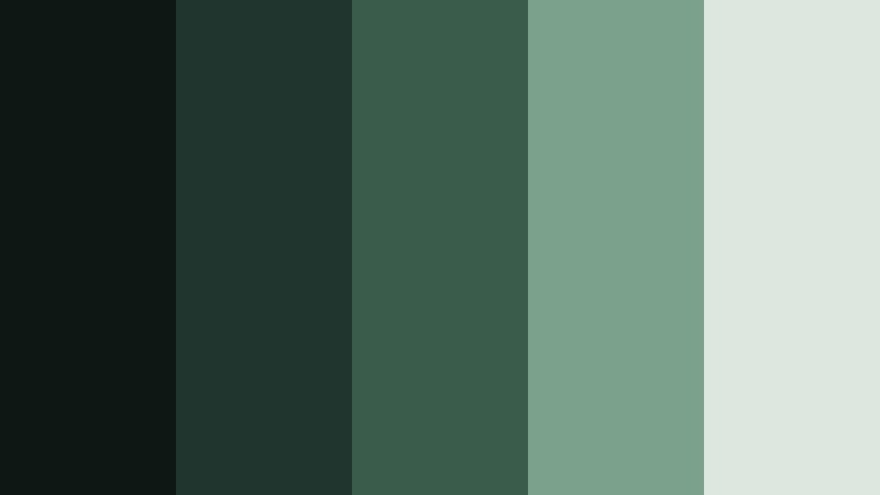 foggy valley reel dark film green color palette with hex codes