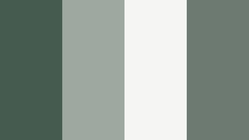 foggy windowframe sage dark sage green color palette with hex codes
