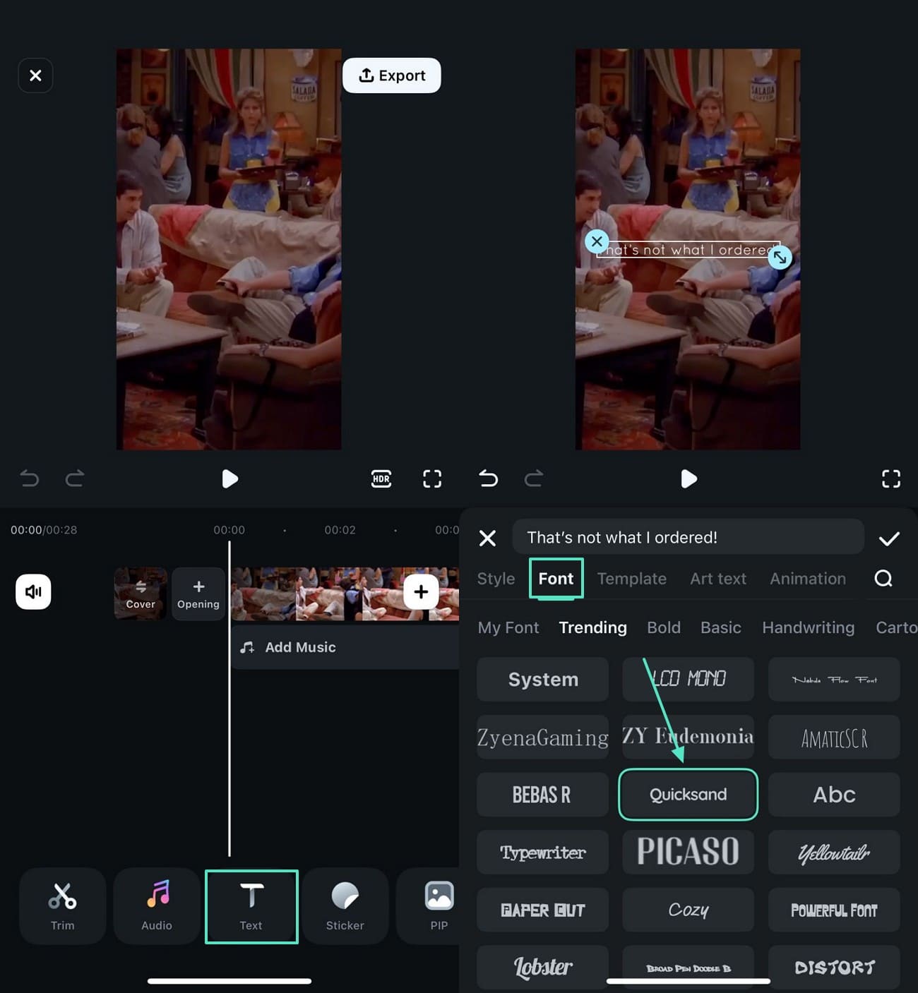 add text to video