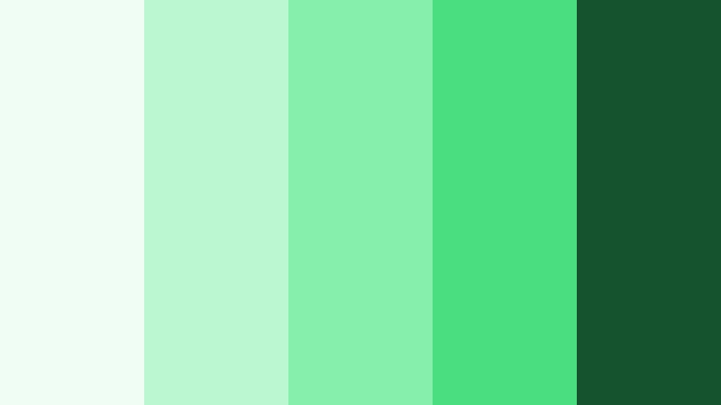 forest campfire calm travel video color color palette with hex codes