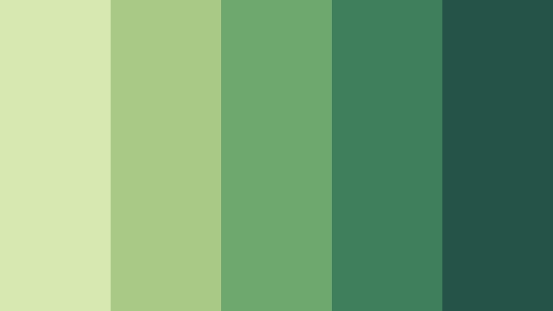 forest canopy analogous color color palette with hex codes