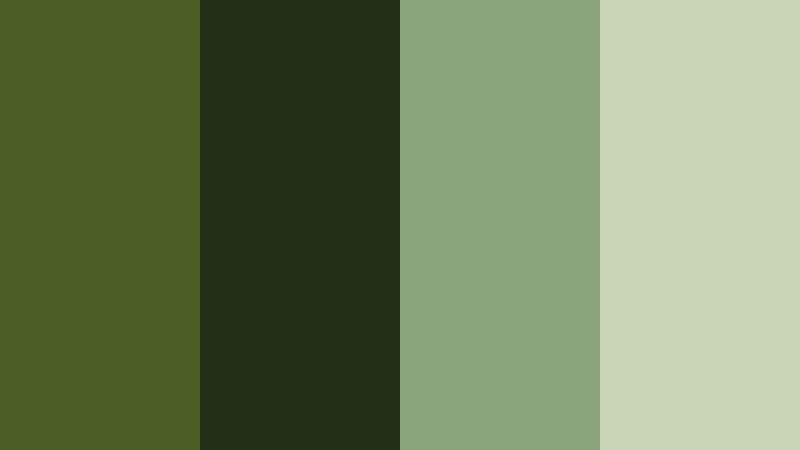 forest canopy calm dark moss green color palette with hex codes