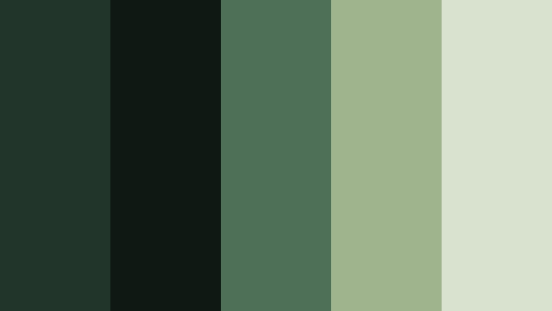 forest canopy cinema deep moss color palette with hex codes
