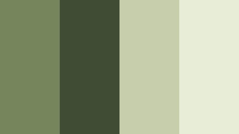forest canopy haze olive mist color palette with hex codes