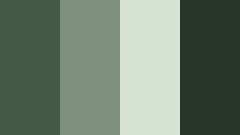 forest canopy studio dark sage green color palette with hex codes