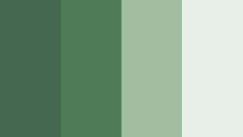 forest canopy whispers herbal green color palette with hex codes