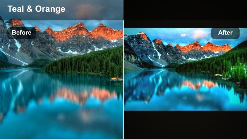 Soft cinematic filter on a foggy mountain forest