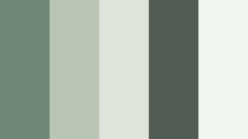 forest mist morning muted fern color palette with hex codes