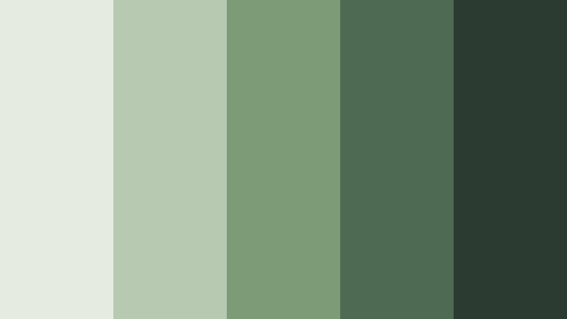 forest trail documentary meadow sage color palette with hex codes
