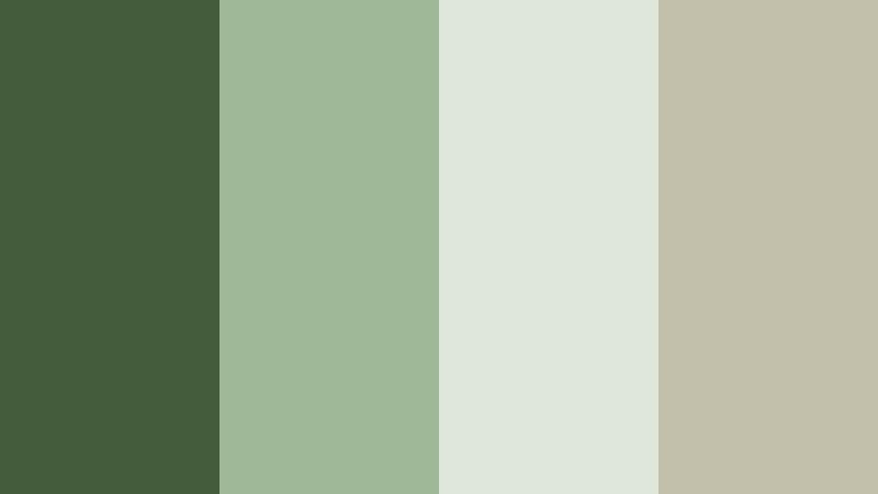 forest trail morning haze woodland fern color palette with hex codes