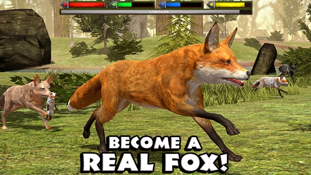 fox-sim