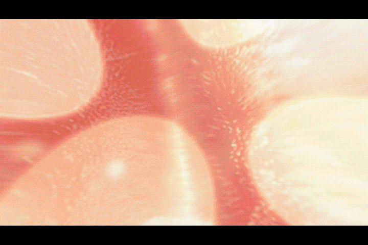 sample clip