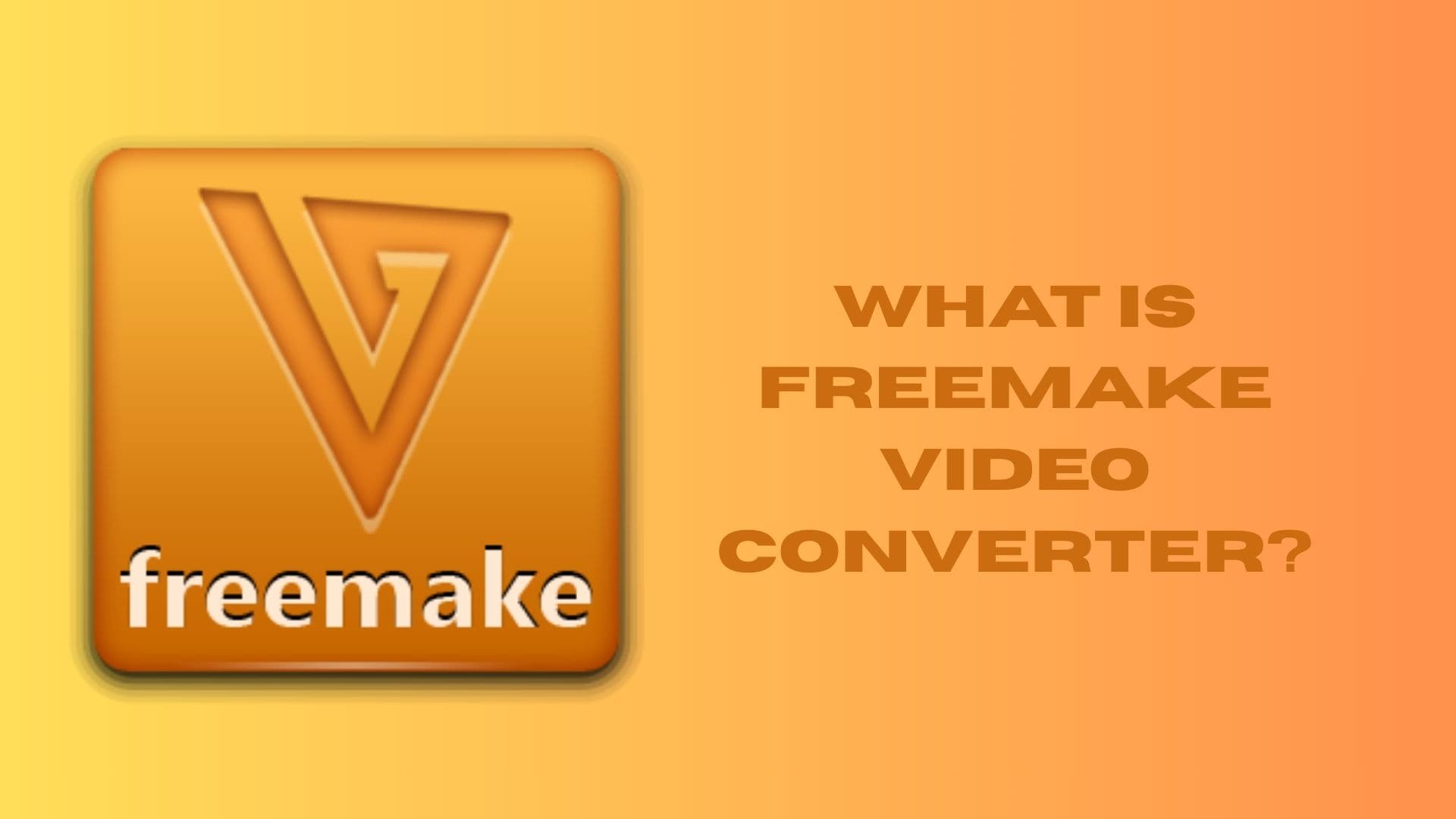 what is freemake video converter