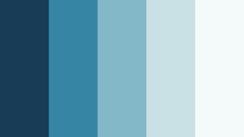 frosted growth blue and silver financial advisor color color palette with hex codes
