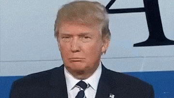 donald trump reaction gif
