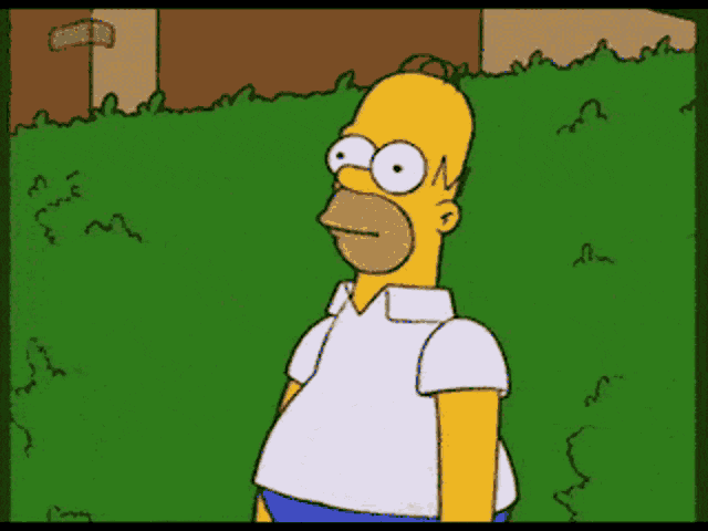homer simpson funny whatsapp gif sticker