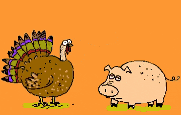 thanksgiving turkey cartoon jokes gif
