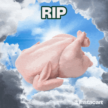 rip turkey flying to heaven gif