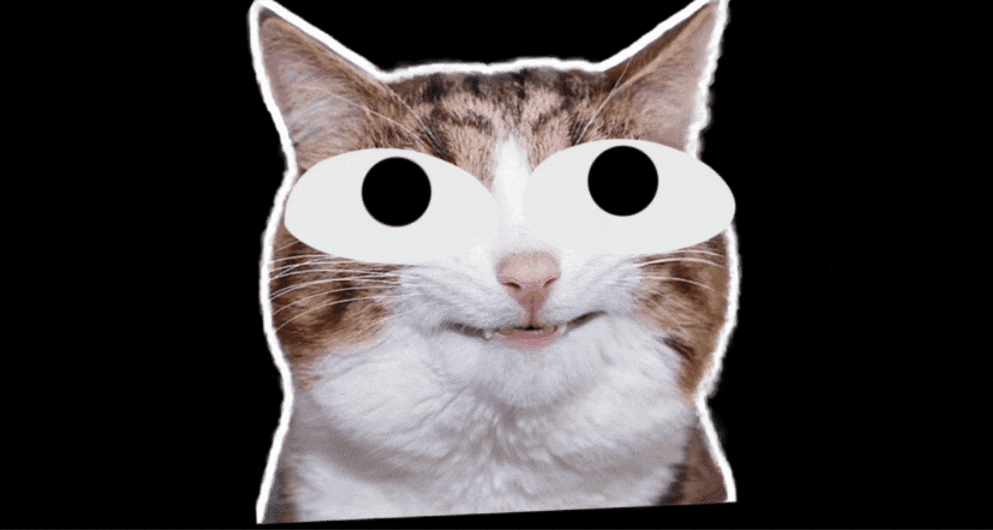 looking for funny meme ideas