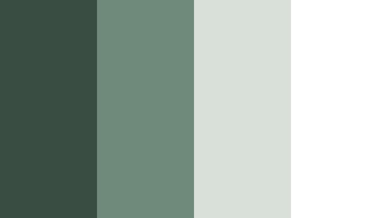 gallery atrium light dusty forest green color palette with hex codes