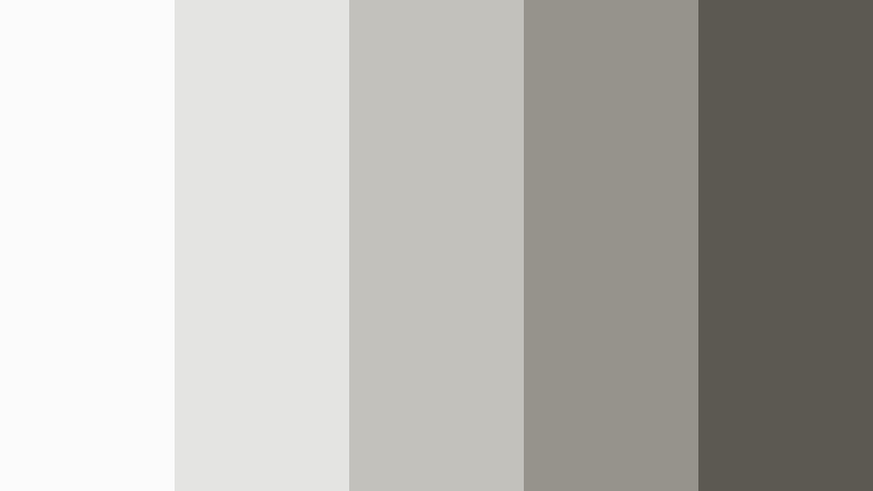 gallery wall soft shadow film texture gray color palette with hex codes