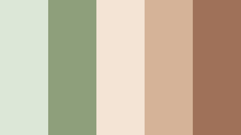 garden brunch table sage green and beige cafe color color palette with hex codes