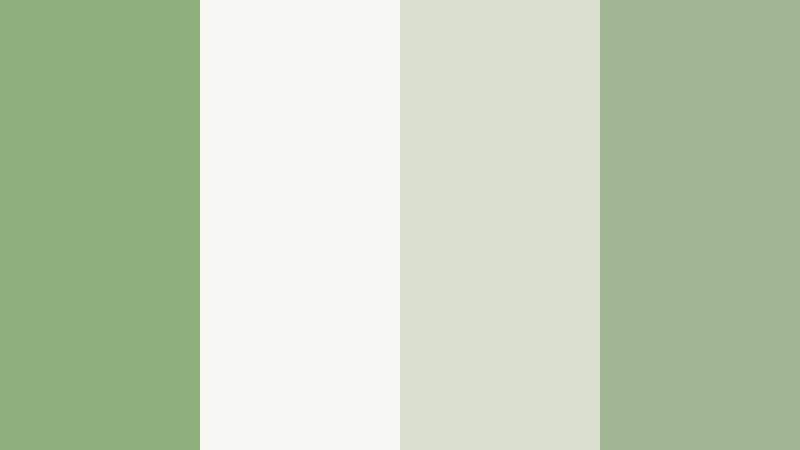 garden sketch minimal soft fern green color palette with hex codes