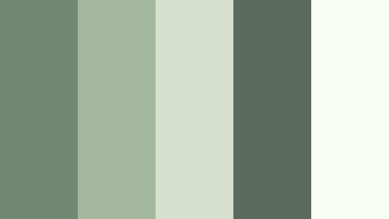 garden studio stillness muted fern color palette with hex codes