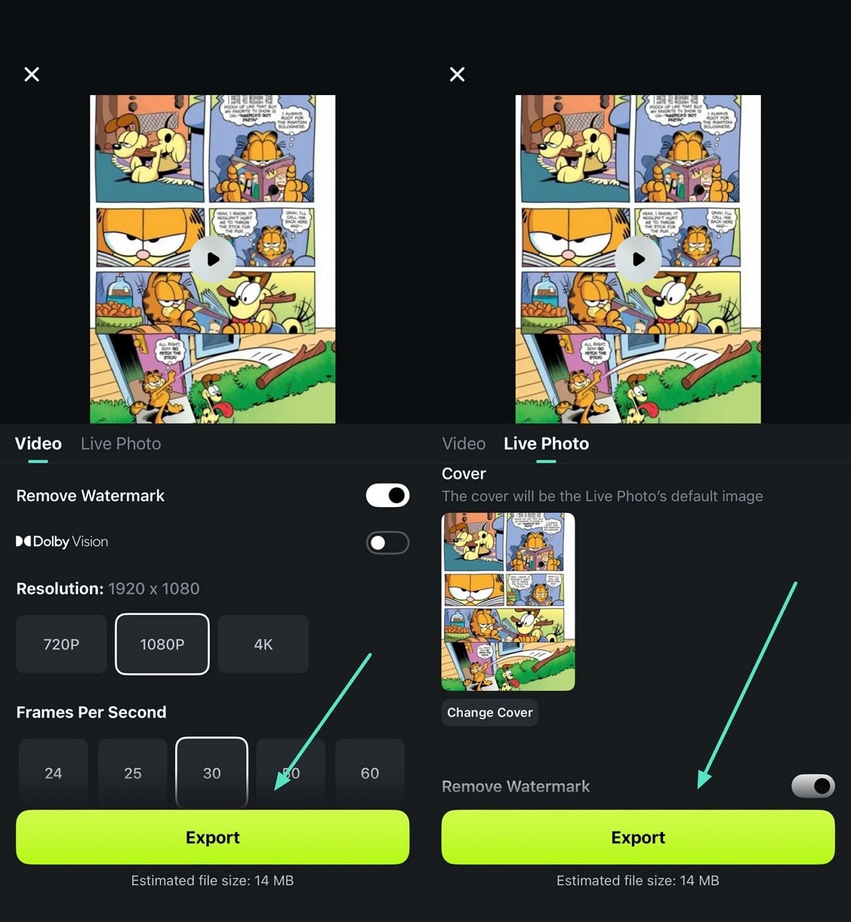 choose given options to export