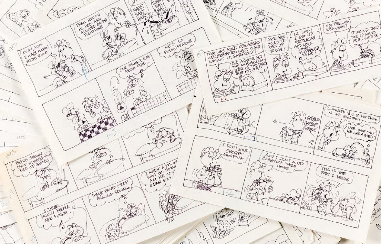 what is garfield comic strip
