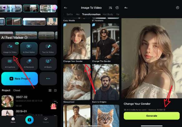 find ai swap gender video template