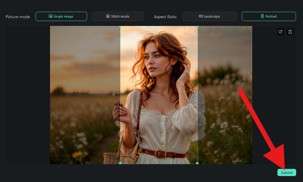 submit image for image to video