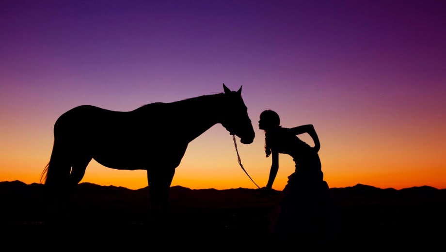 ottenere - silhouette -foto