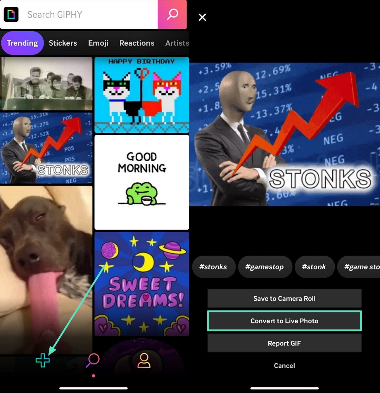 gif to live photos with giphy