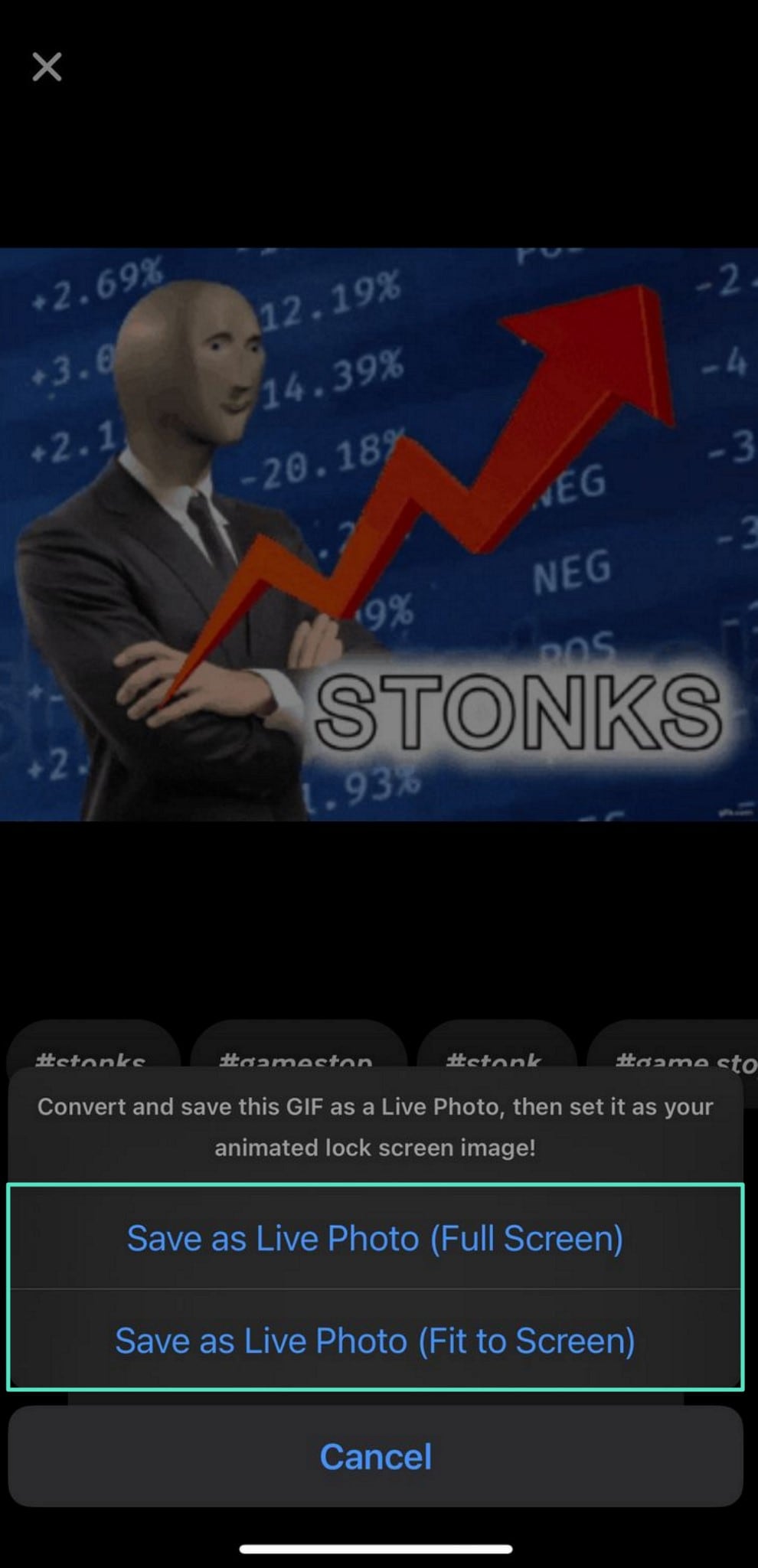 save results of live photo to device