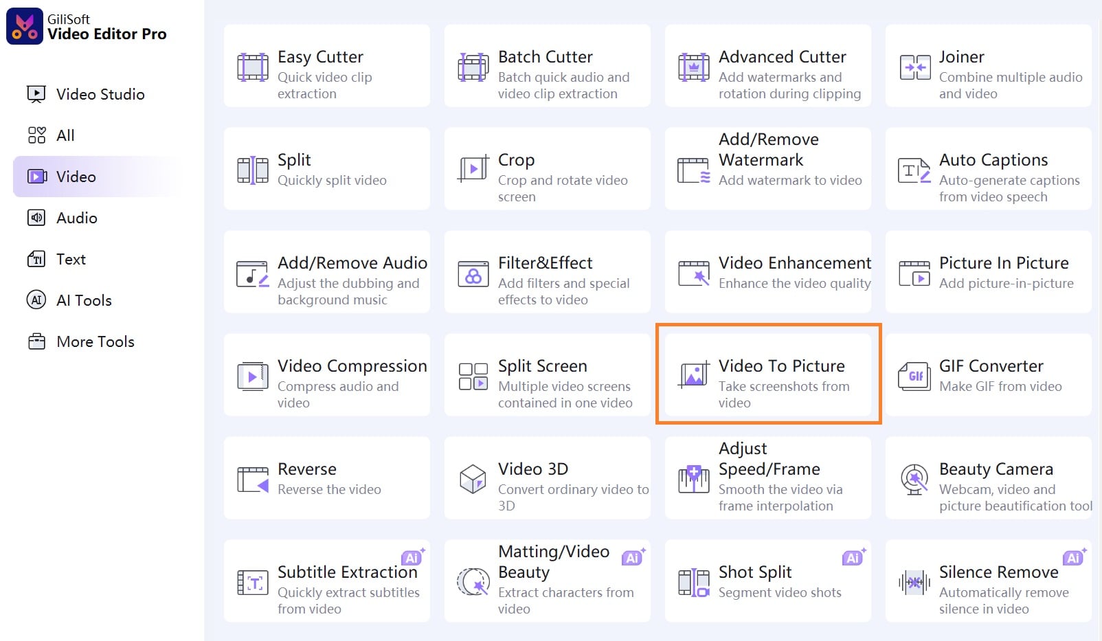 gilisoft video to picture