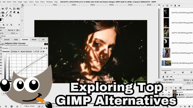 breaking down top gimp alternatives