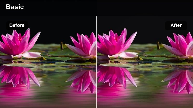 Sunlit morning routine reel with a warm golden filter on a person stretching by a window.