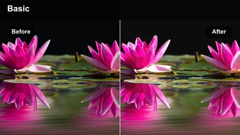 Creator chopping vegetables on a kitchen counter with warm golden lighting and soft contrast.