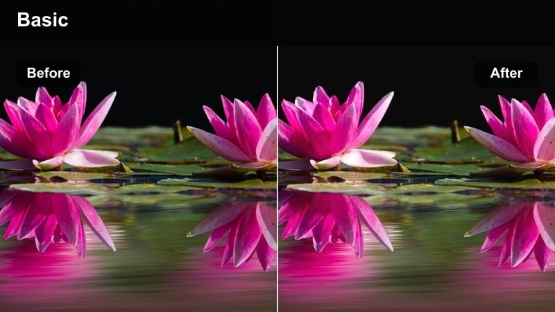 Two characters talking on a rooftop at sunset bathed in warm golden light.