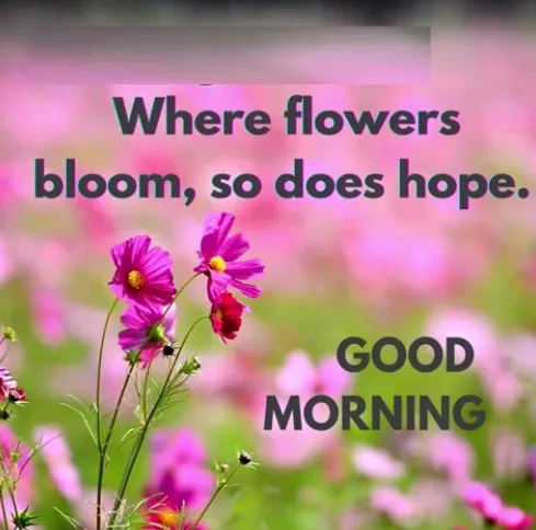 flower bloom good morning sticker gif