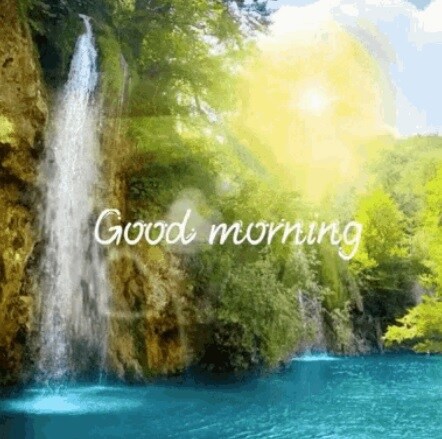 Top 20 Animated Good Morning Sticker GIF Ideas 2026
