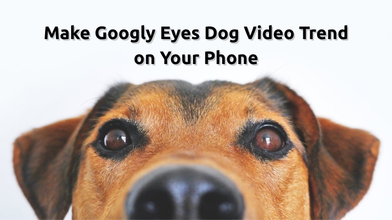 make googly eyes dog clip on your phone