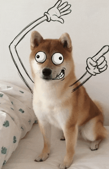 filmora googly dog eyes template