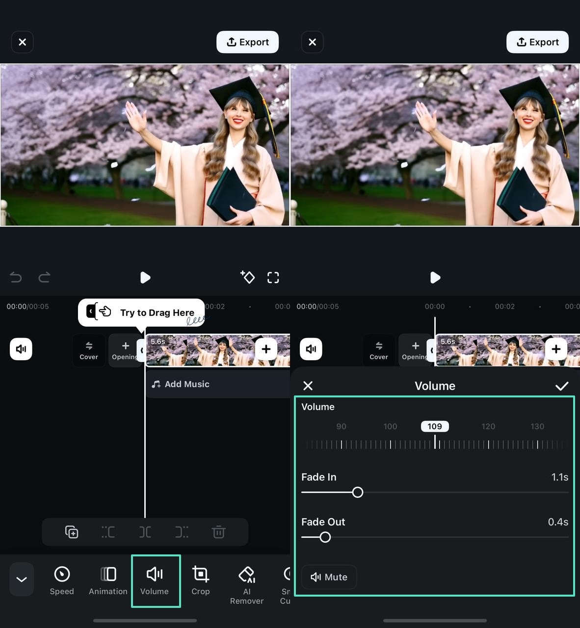 adjust volume of video