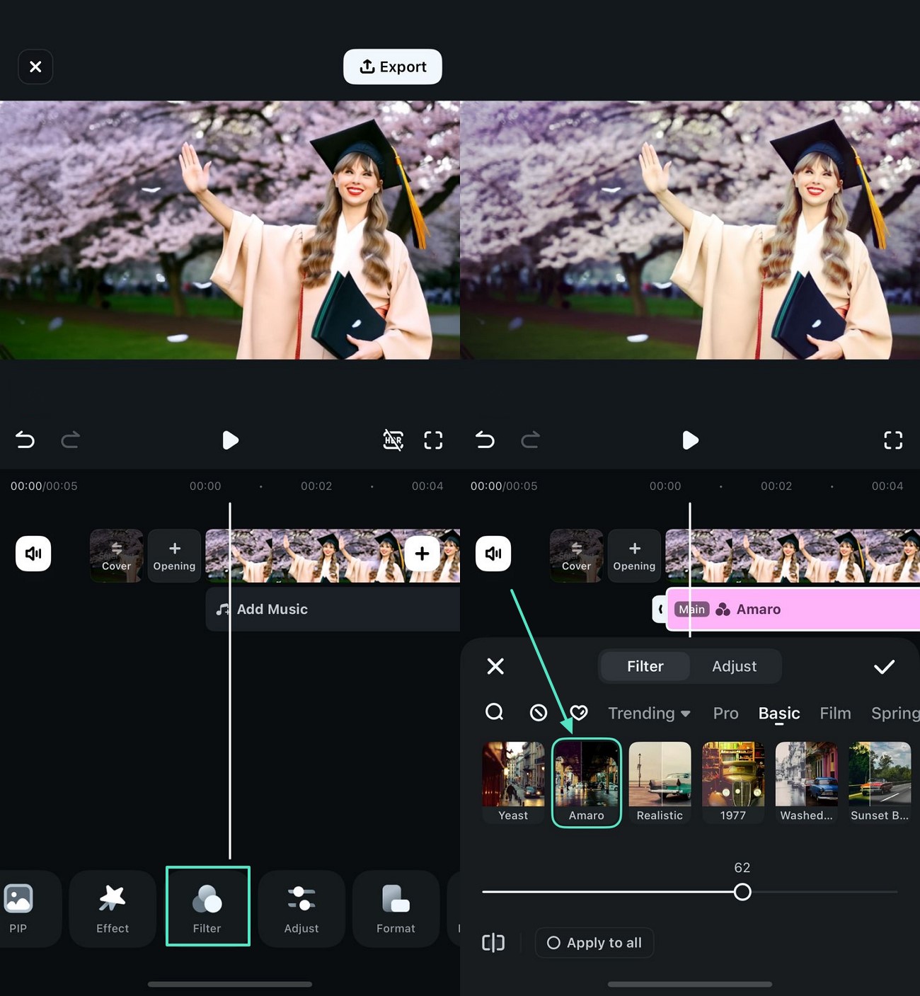 apply filter from different options
