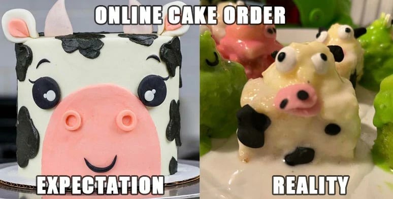 expectation and reality